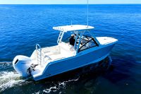 2026 World Cat 265 DC-X 