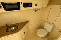 2013 World Cat 290 DC