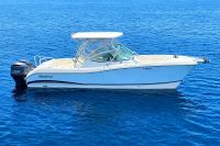 2013 World Cat 290 DC