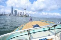 ChrisCraft Corsair 25 Sport