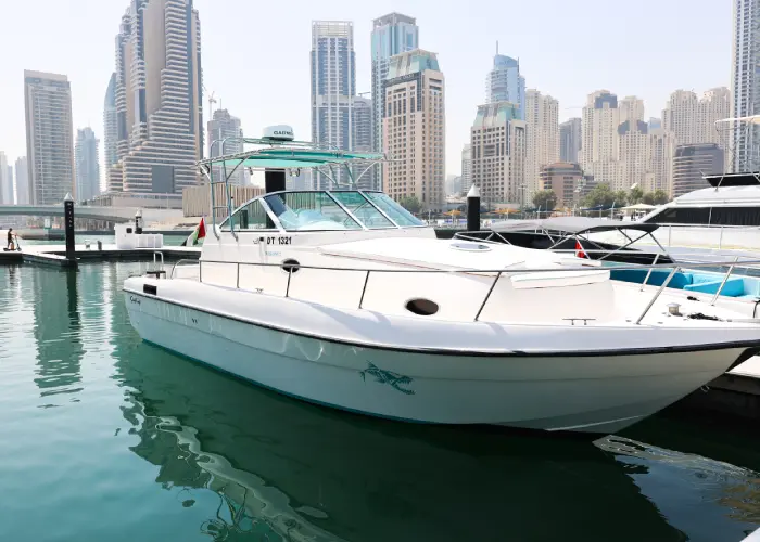 Silvercraft 32 WA logo