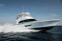 Bertram 61