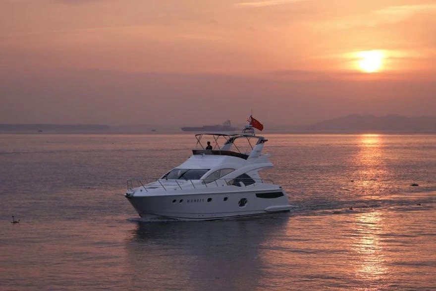 ARTEMIS 56