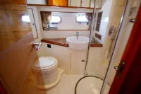 ARTEMIS 43