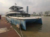 Moana 52