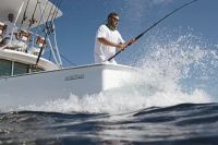 BERTRAM 35 FLYBRIDGE