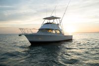 BERTRAM 35 FLYBRIDGE