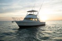 BERTRAM 35 FLYBRIDGE