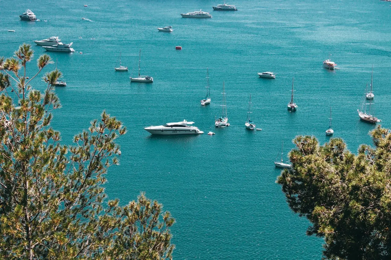 Yachts sail the seas
