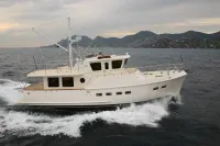 Artemis 45