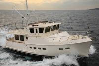 Artemis 45