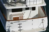 Artemis 45