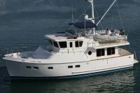Artemis 45