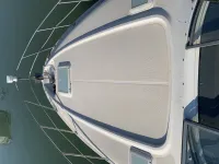 Bayliner 305Sb