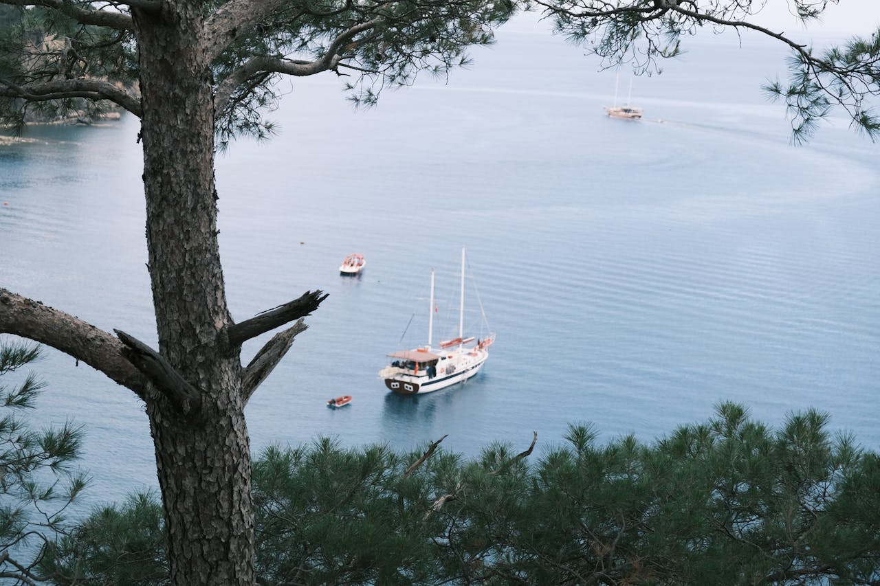 Yachts sail on the water