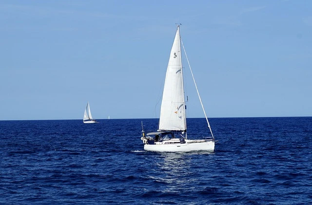 Sailboats on the water