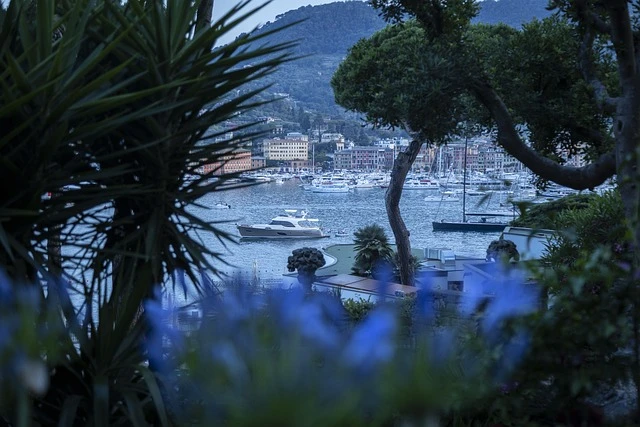 Yacht docked at sea