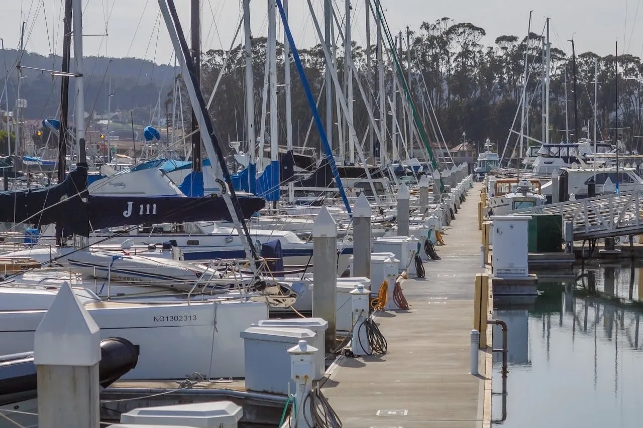 Sailboats moored at the marina