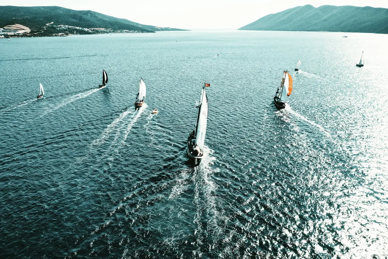 Sailboat sailing on the sea