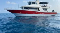 GoldLuck JY700D Luxury Fishing Boat