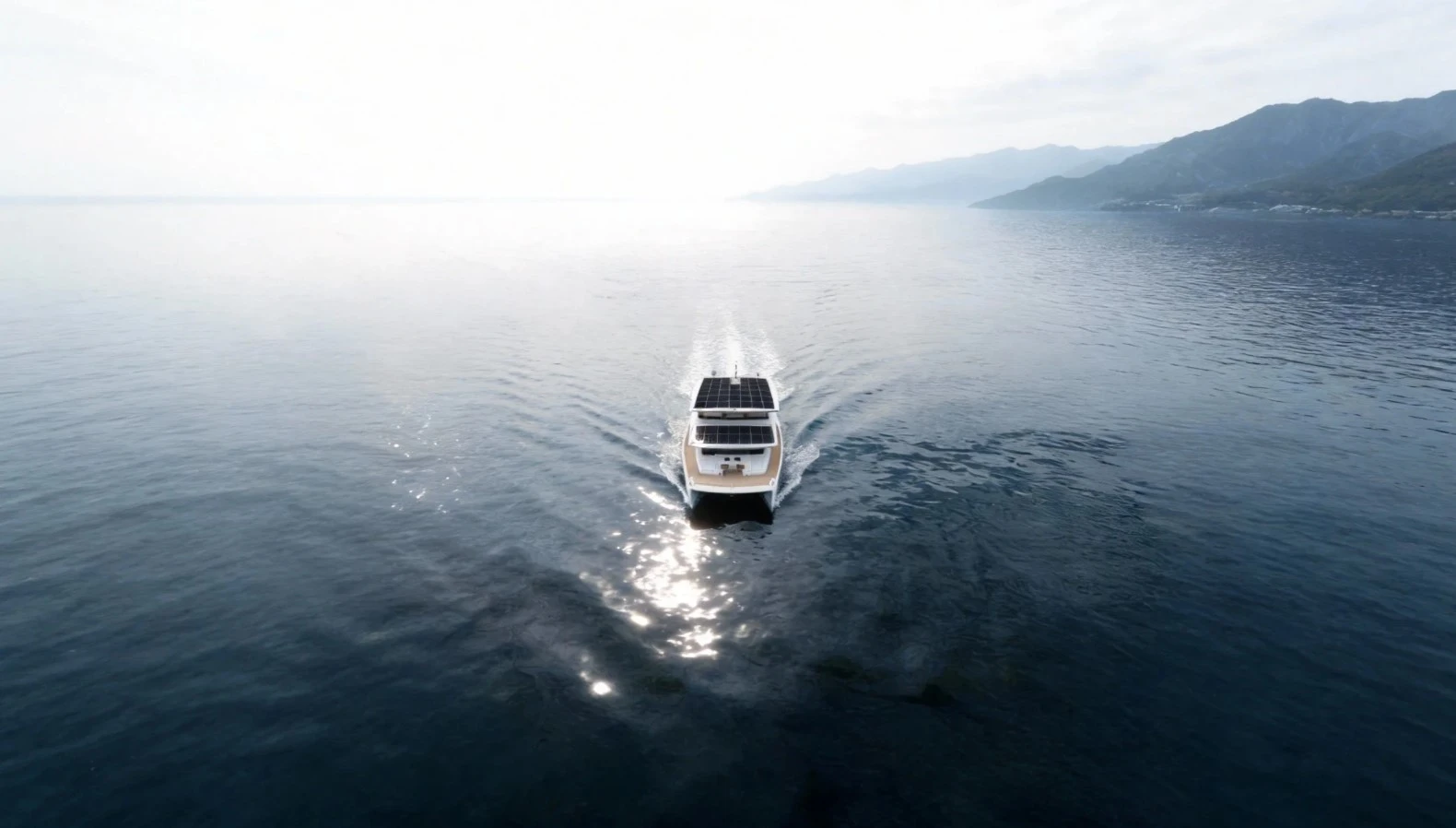 VisionF E-Cat 80