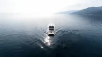 VisionF E-Cat 80