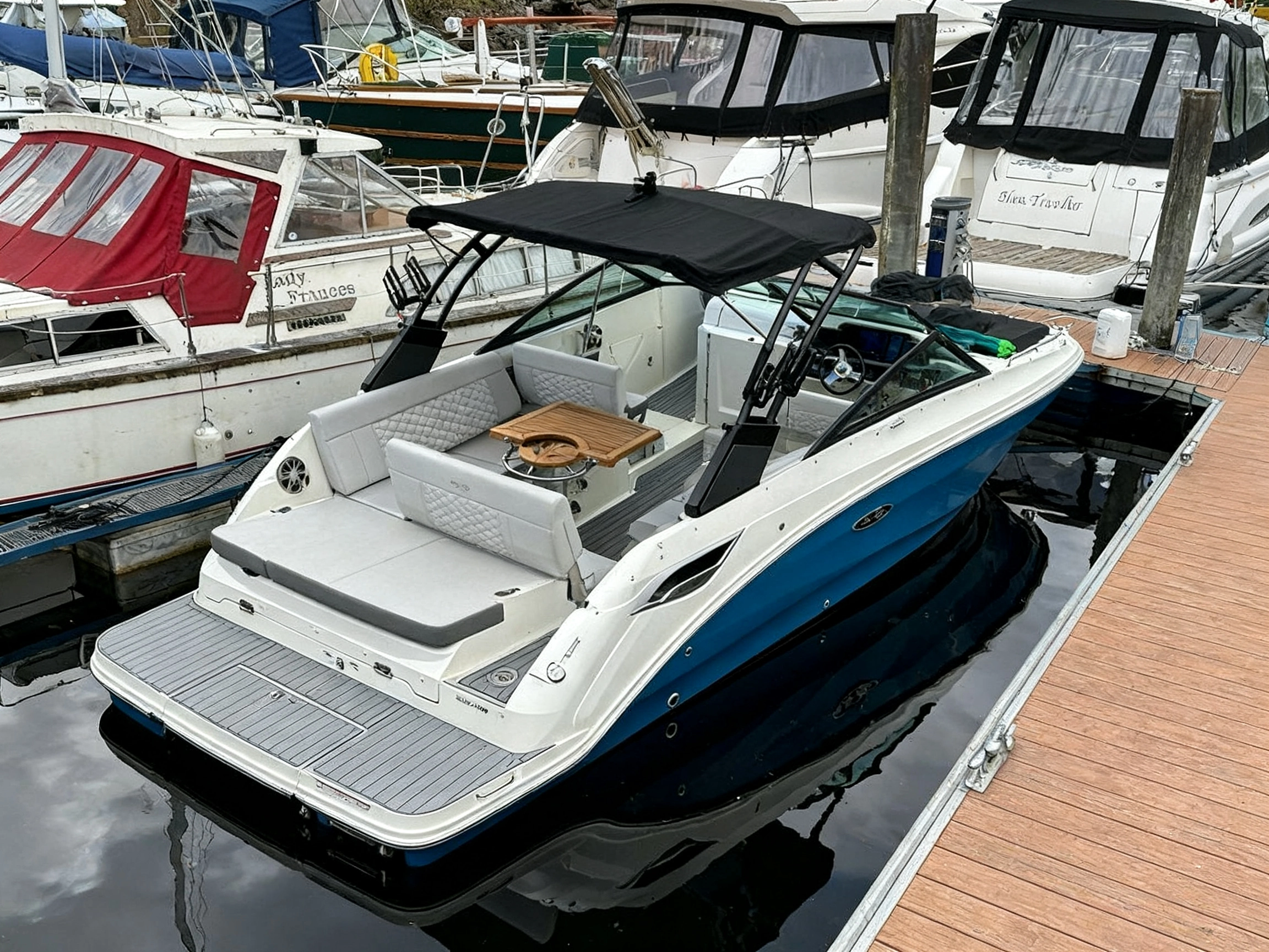 Sea Ray SDX 250