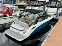 Sea Ray SDX 250