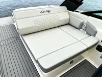 Sea Ray SDX 250