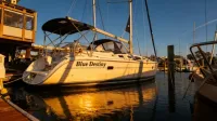 Hunter 36