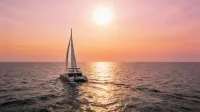 Sunreef 50
