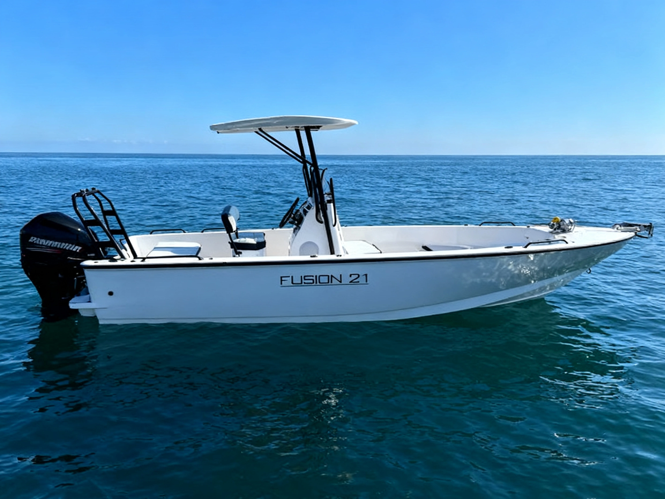 Fusion 21