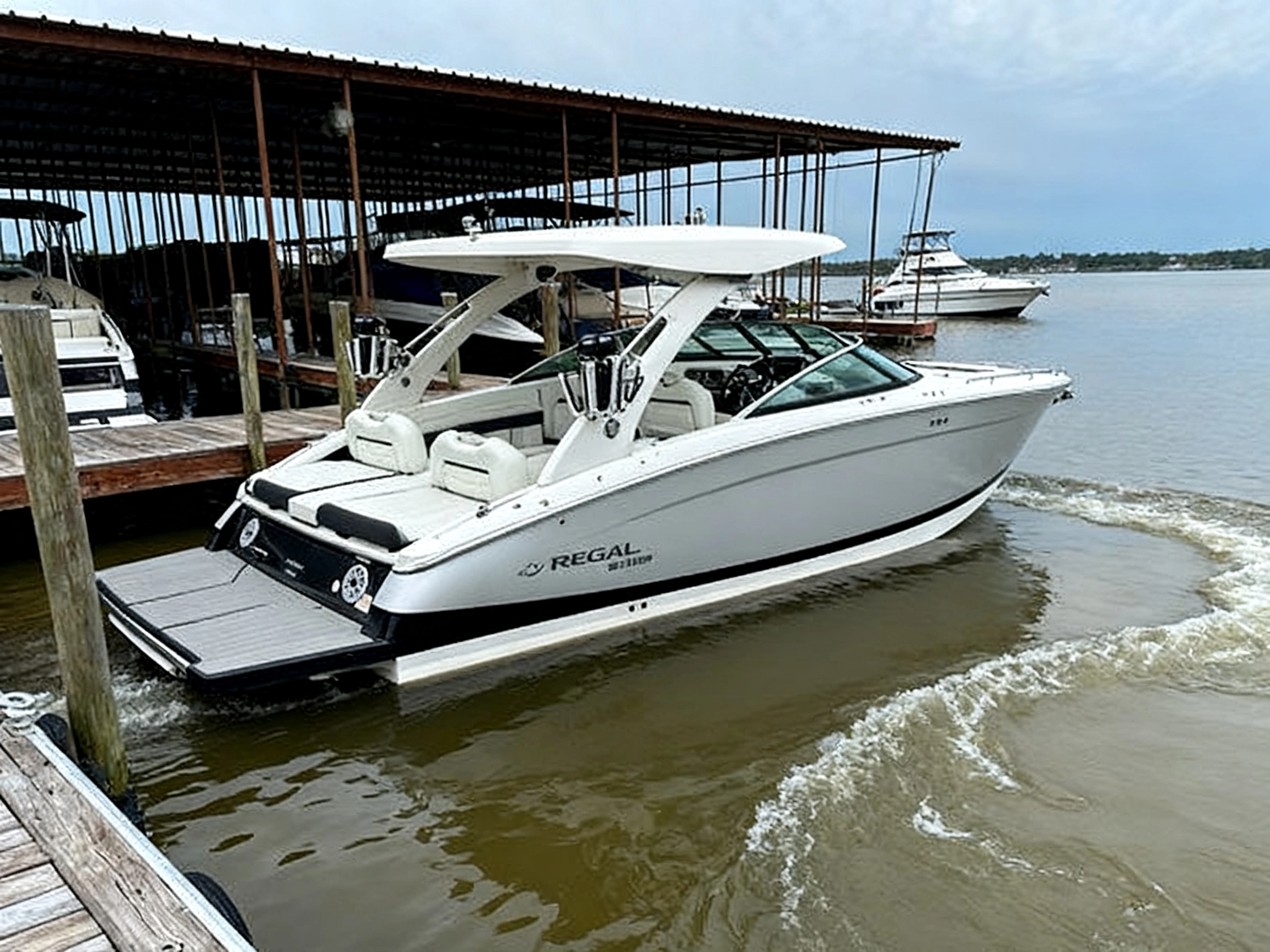 Regal LS9 Surf