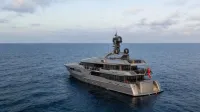 Amels 445