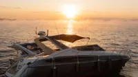 Cranchi Endurance 39