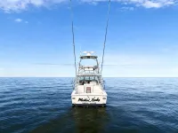 Bertram 36 Moppie