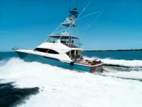 Bertram 630 Convertible