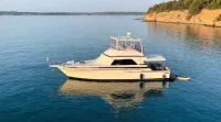 Bertram 37 Convertible