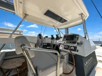 Leopard 50 