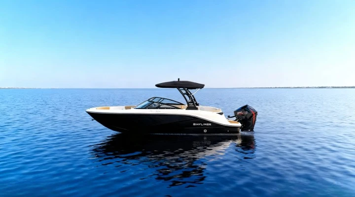 Bayliner V20