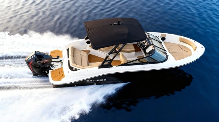 Bayliner V20