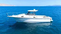 Bayliner 2352 Trophy