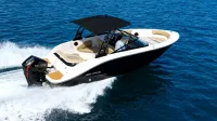 Bayliner V20
