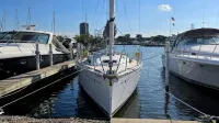 2023 Jeanneau Sun Odyssey 349
