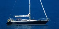 1984 C C 41