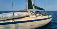 1981 Davidson 44