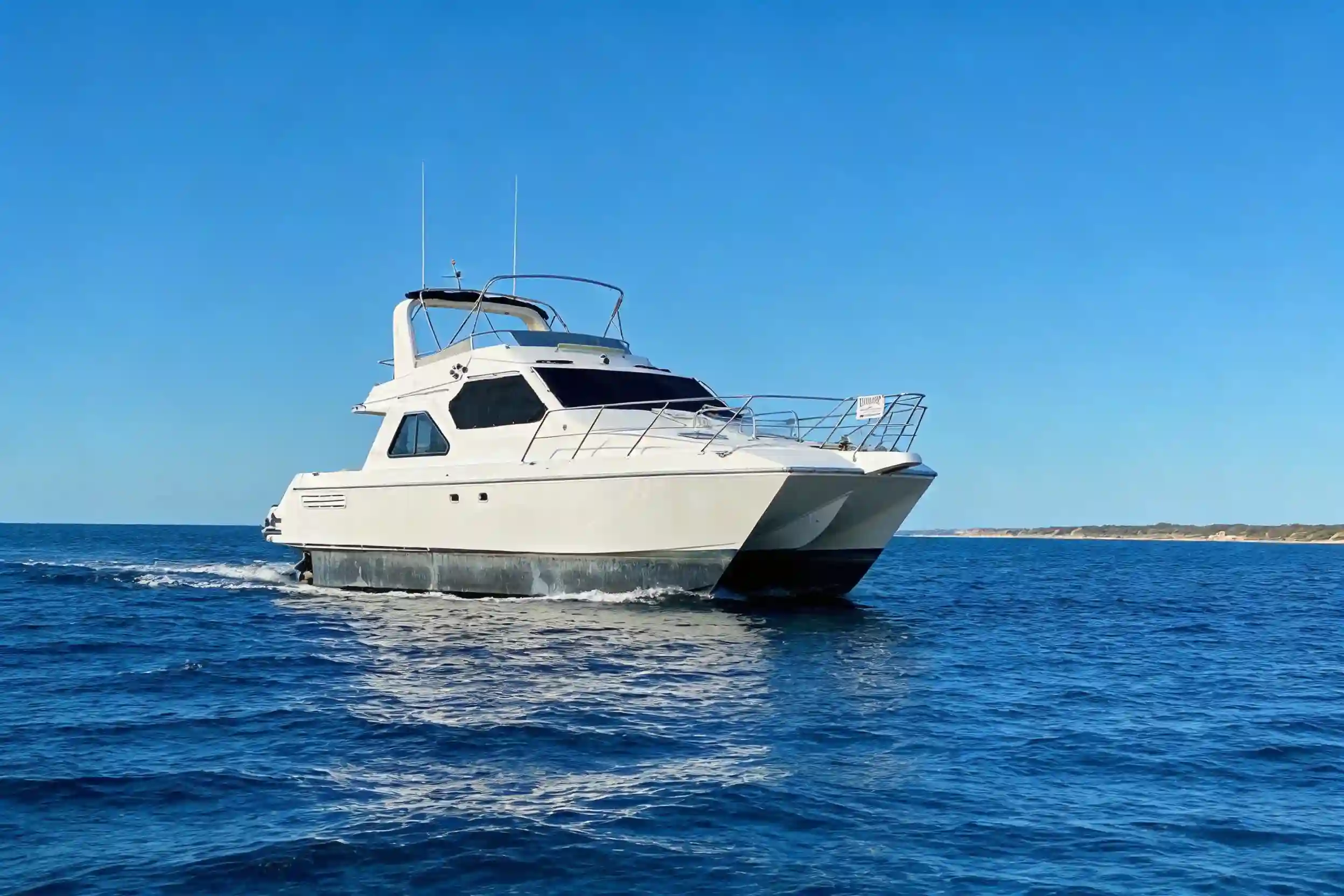 2001 SportsCat 44