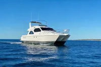 2001 SportsCat 44