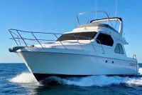 2001 SportsCat 44