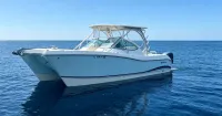 2013 World Cat 290 DC